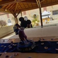 La terrasse couverte pour un anniversaire d'amoureux de Disney