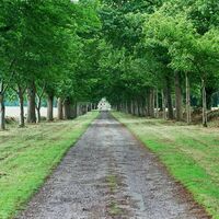 Allée