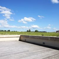 Château Larrivet Haut-Brion