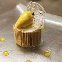 Paille d'or Lu, mangue confites, mousse au chocolat blanc