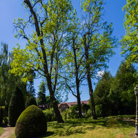 Domaine des Papillons
