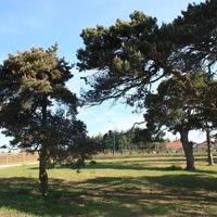Le parc