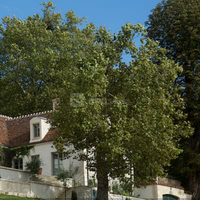 La Clairiere de la Reine
