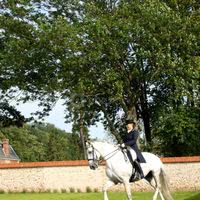 Carrousel de baronville - jardin de caylus