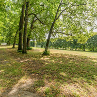 Jardin du cèdre