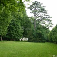 Jardin du cèdre