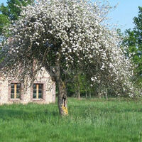 Domaine des Evis