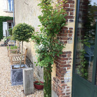 Domaine des Evis