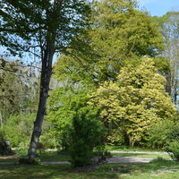 Parc
