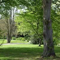 Parc