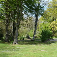 Parc