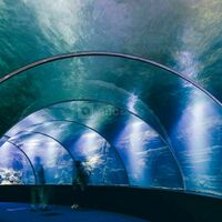 Le Tunnel de la haute mer