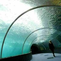 Le tunnel de la haute mer