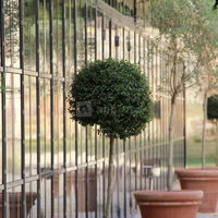 L'Orangerie