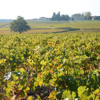 Le Jardin d'Edouard