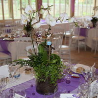 Salle des Grandes Ecuries