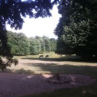 Le Parc du château