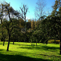 Le jardin