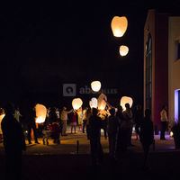 Château Haut Bourcier