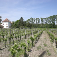 Château Meric