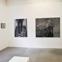 Kogan Gallery