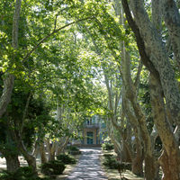 Vue de l'entrée