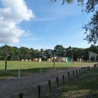 Vue sur le parc