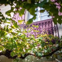 Domaine de la Grave