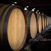 Chai à barriques - atelier - Domaine de la Grave