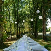 A l'ombre des maronniers