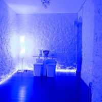Espace Z* Triangle d'or