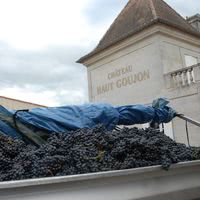 Château Haut Goujon