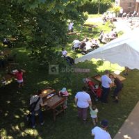 Animation jeux flamands dans le jardin