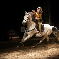 Spectacle sous chapiteau