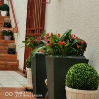 Le Patio