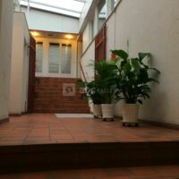 Le Patio