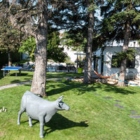 Le jardin