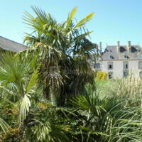 Domaine  Malouinière de launay blot