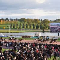 Hippodrome de Bellevue-la-Forêt