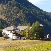 Le Chamois