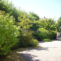 Jardin