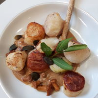 Saint Jacques grillée