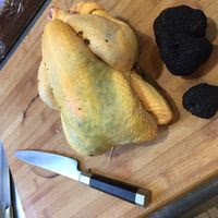Poulet fermier courtisé de truffe