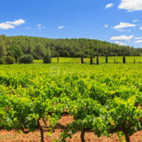 Le Clos des Escapades