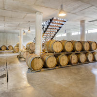 Le chai à barriques