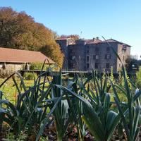 Le potager