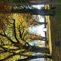 Vue du parc