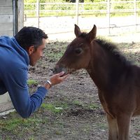 Le Domaine du Bois de Maulny