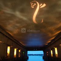 Projection de logo sur le plafond : La Base Pegasus