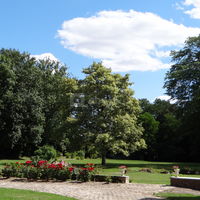 Vue sur le parc